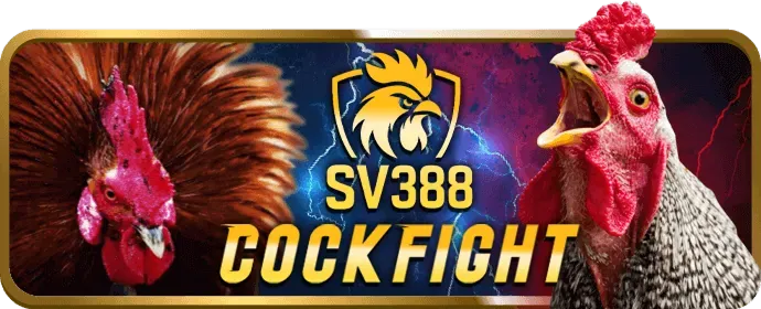 Ưu đãi hoàn trả và thưởng nạp lại m99 code